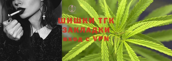 сатива Арсеньев