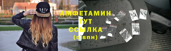 шишки Аркадак