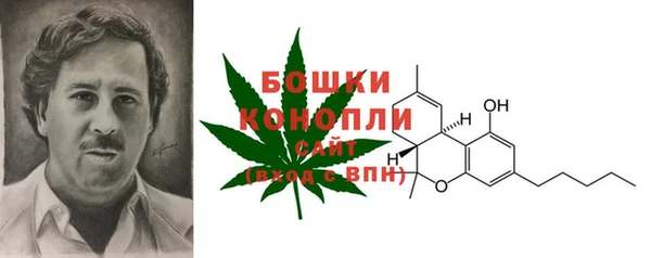 сатива Арсеньев