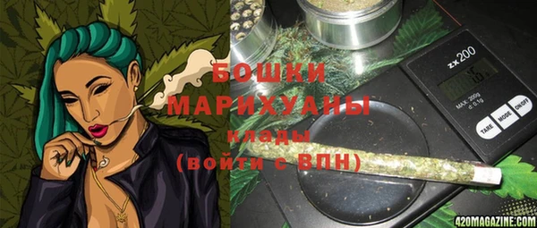сатива Арсеньев