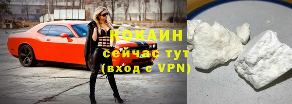 сатива Арсеньев