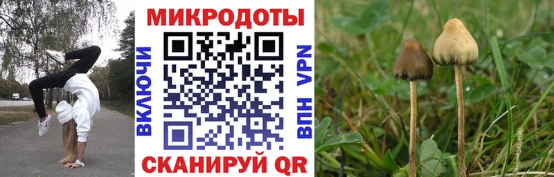 магазин наркотиков Тейково Псилоцибиновые грибы Cubensis